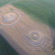Illustration for article titled A Massive Crop Circle Appeared Overnight In Italy